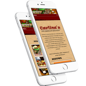 werk-carlinas-colomedia-goedkope-websites